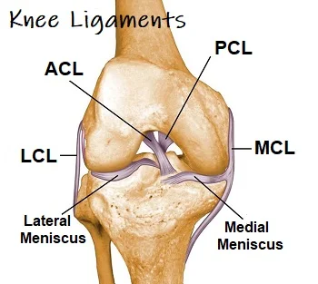 Ligament Injury Consultation